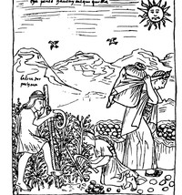 To care for our seeds-image