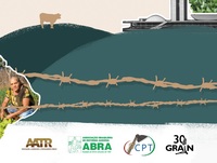 From political coup to land destruction in Brazil-image