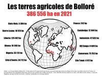 Plantations de Socfin/Bolloré : les profits explosent, la répression continue-image