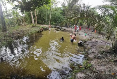De Asia a África: los tentáculos de las plantaciones de palma aceitera asfixian y secan a las comunidades-image