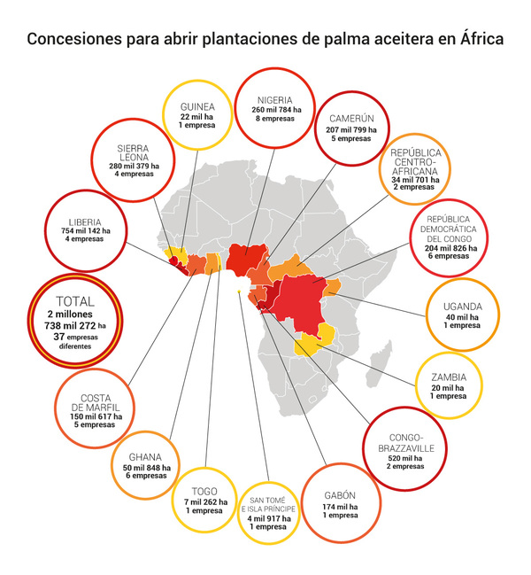 Comunidades africanas luchan contra el acaparamiento de tierras para el cultivo de palma aceitera
